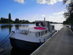 Penichette habitable max 4-5 pers terrasse vue sur l'eau ST JEAN DE LOSNE